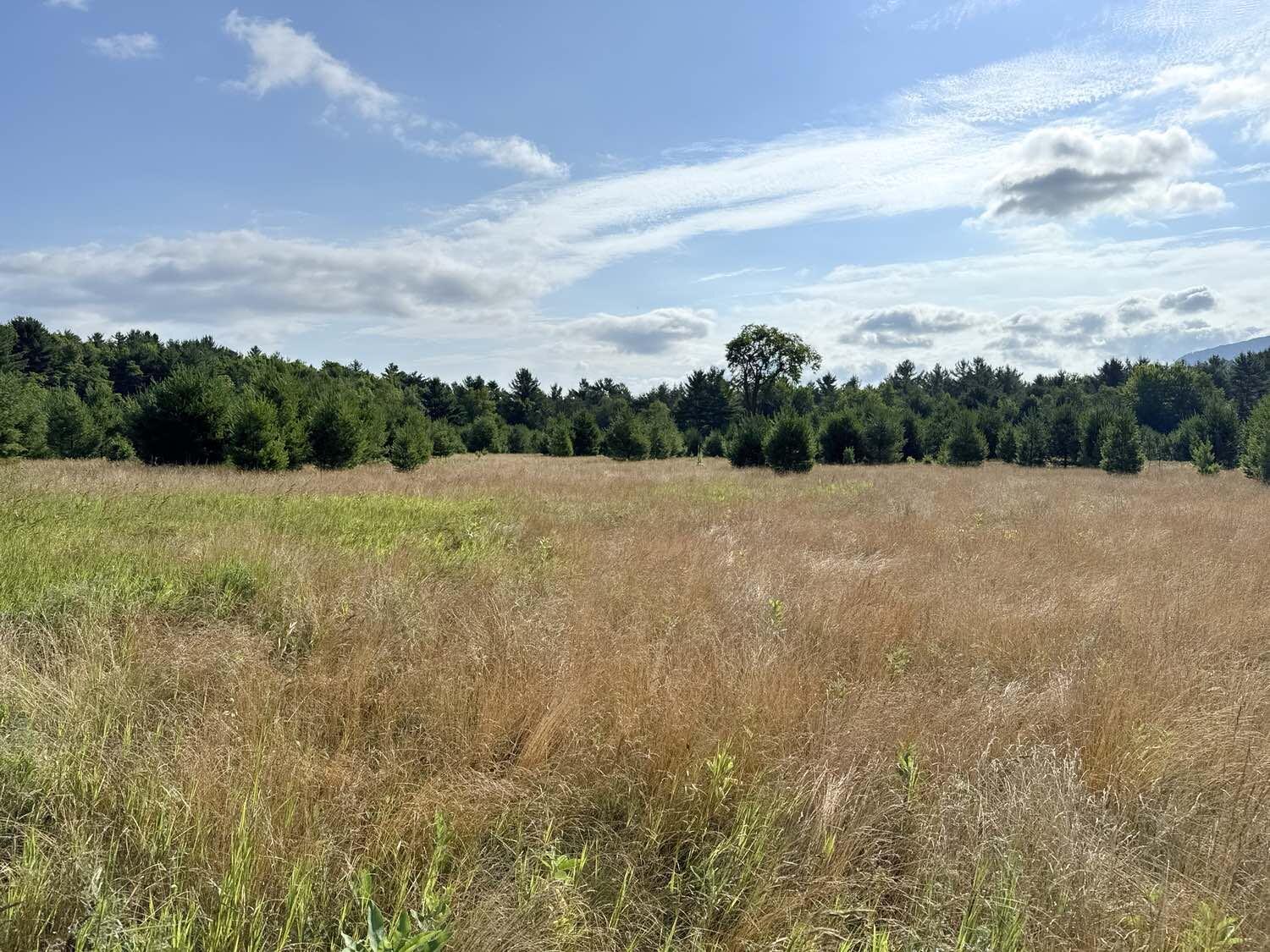 Image 2: Land