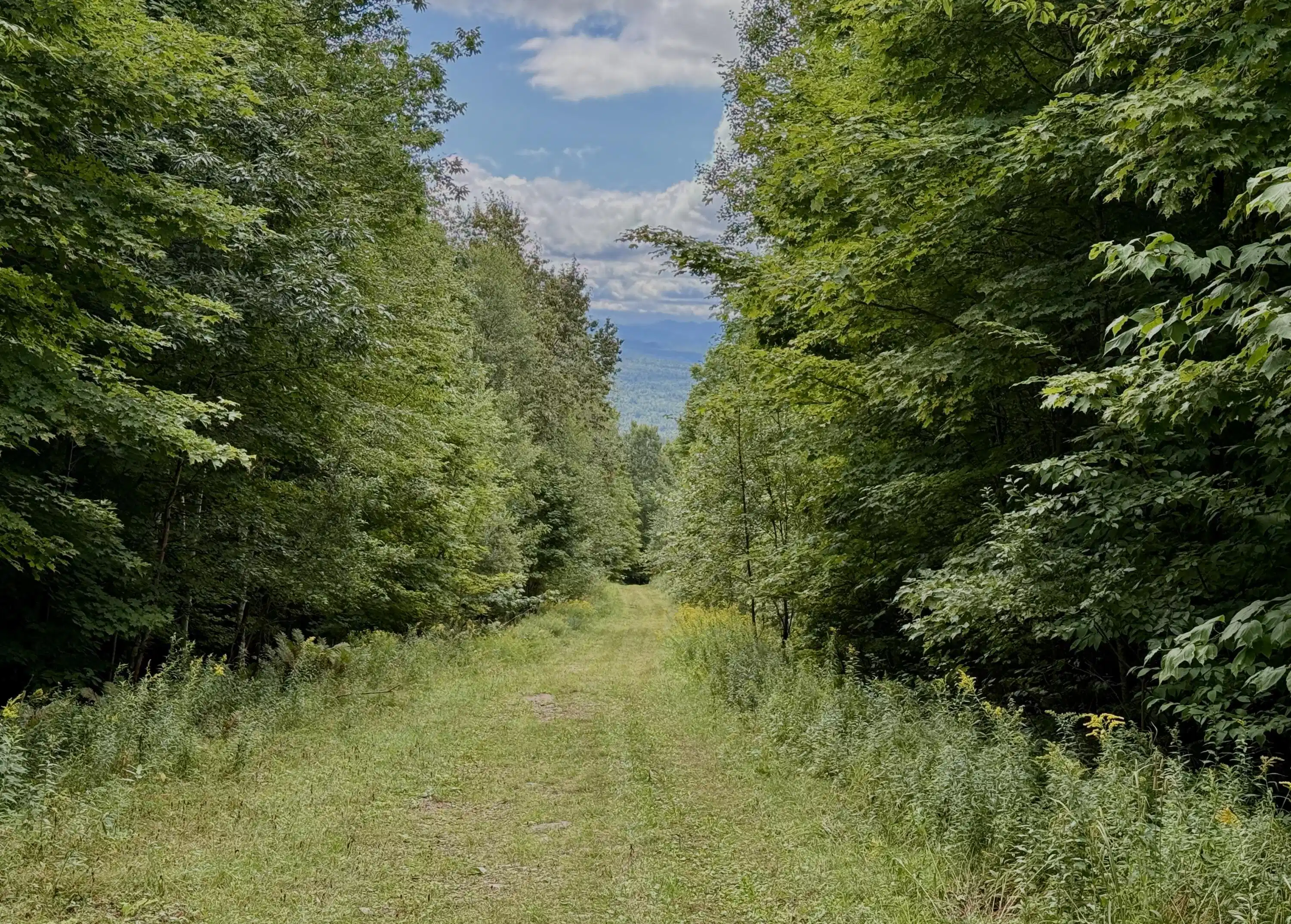 Image 1: Mountain view from Property Line