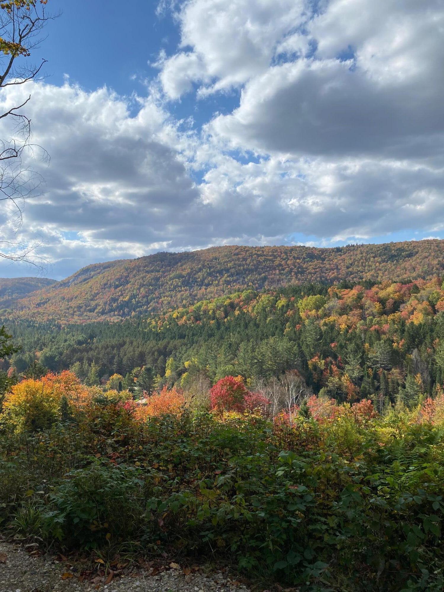 Image 2: Mountain Views