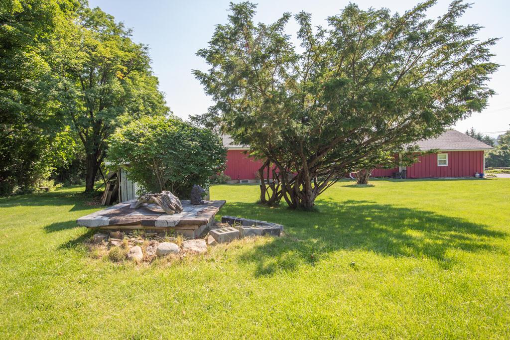 Image 3: 1F3A6130