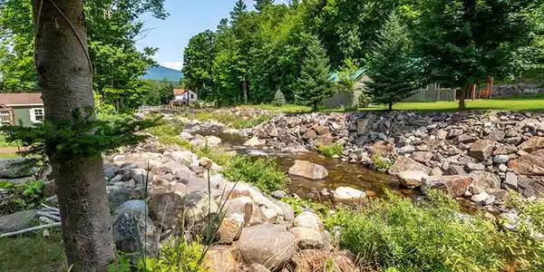 Image 4: TheCastleInKeene_JonesBrook
