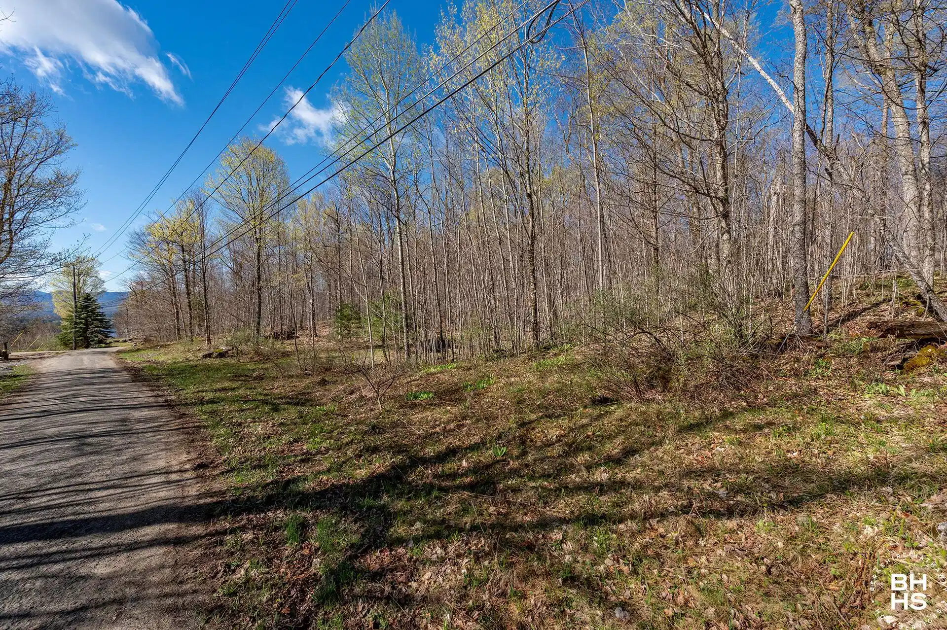 Image 1: Lot13OnPanorama_Spring_Lot_R