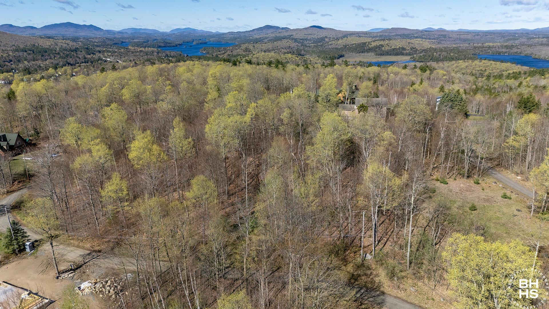 Image 4: Lot13OnPanorama_Spring_A_Lot_Road_Lakes