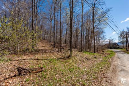 0 Panorama Lot 19