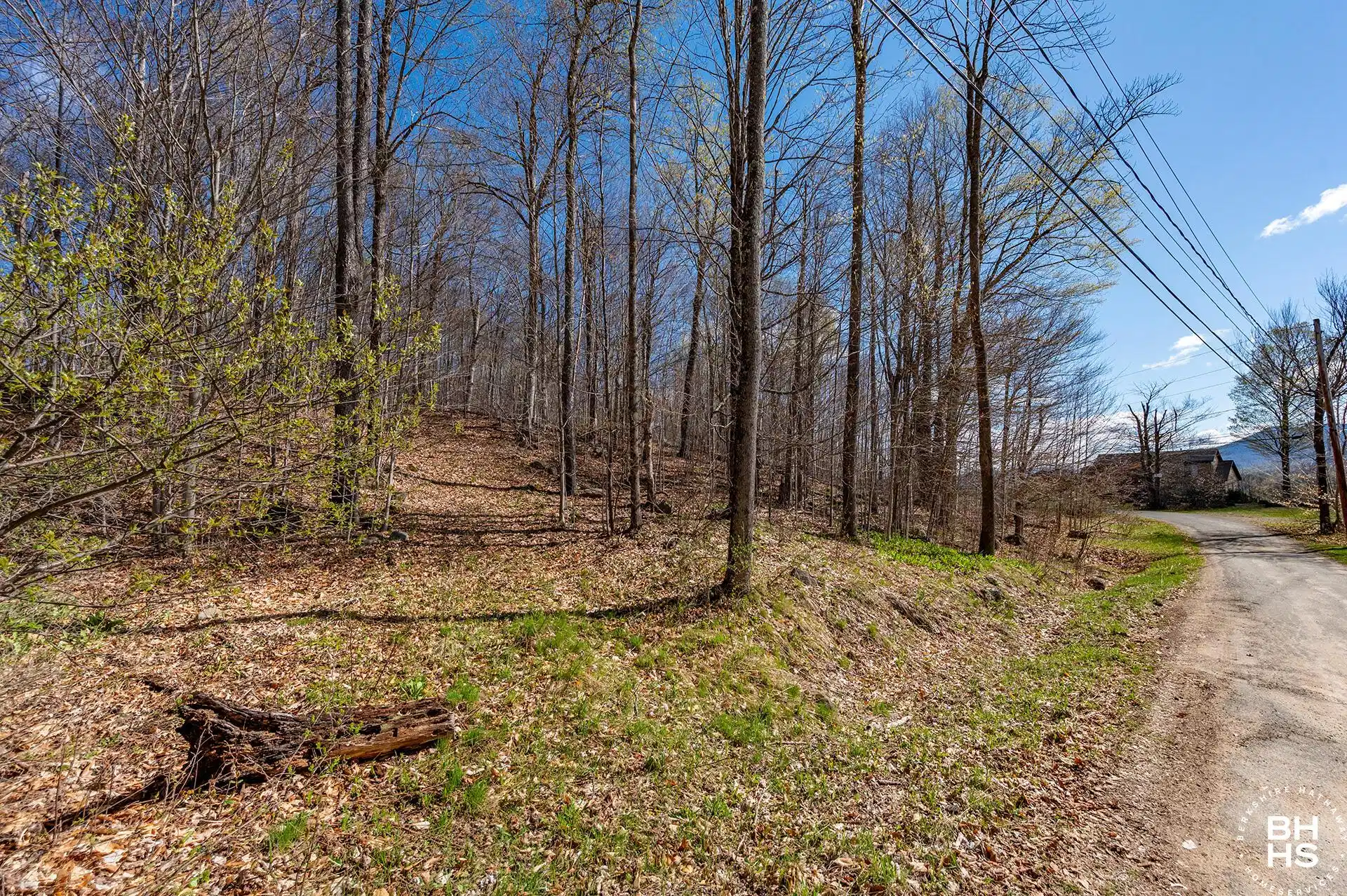Image 1: Lot19OnPanorama_Spring_Lot_From_Road_L