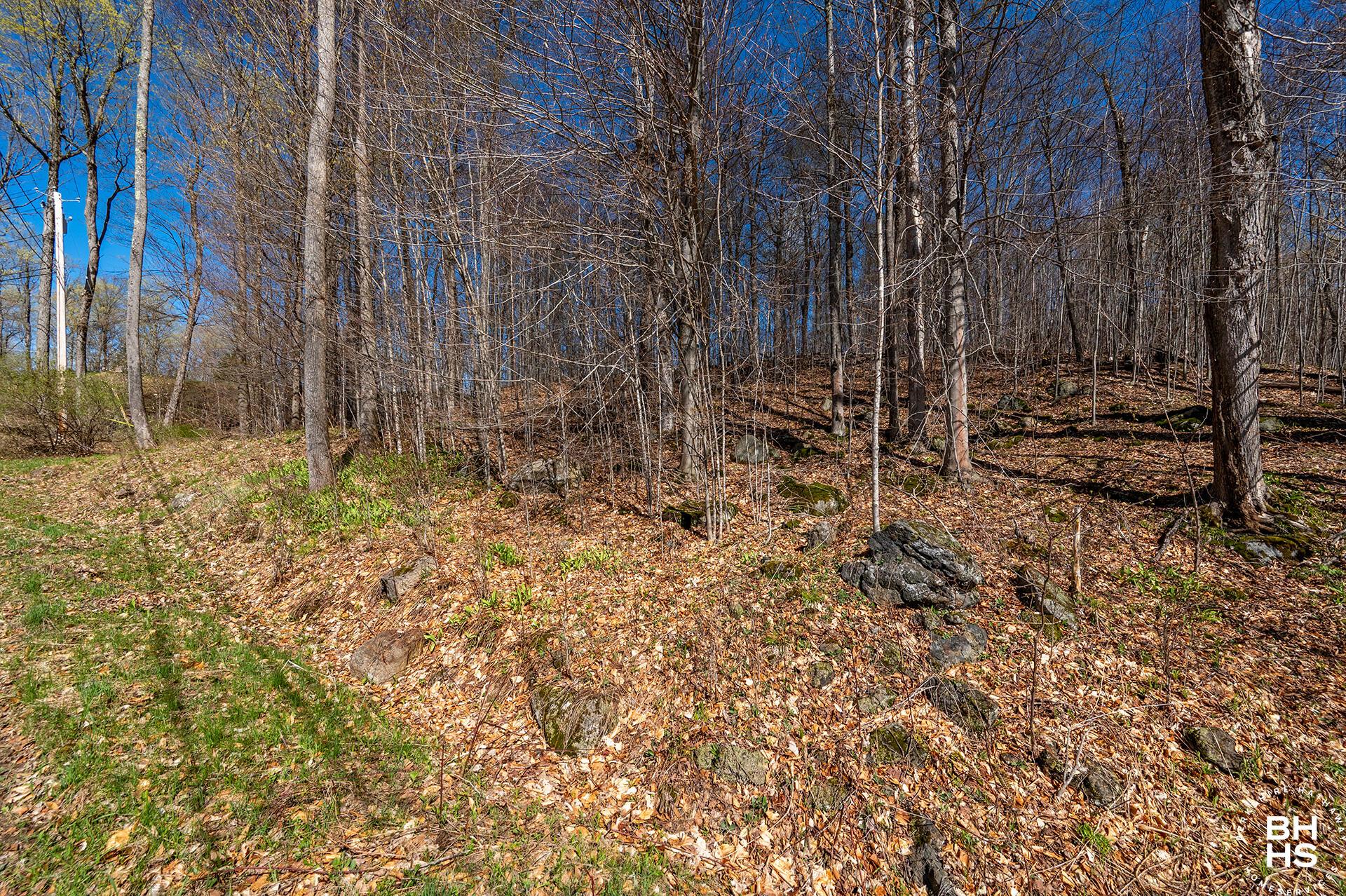 Image 2: Lot19OnPanorama_Spring_Lot_From_Road_R