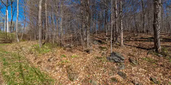 Image 2: Lot19OnPanorama_Spring_Lot_From_Road_R