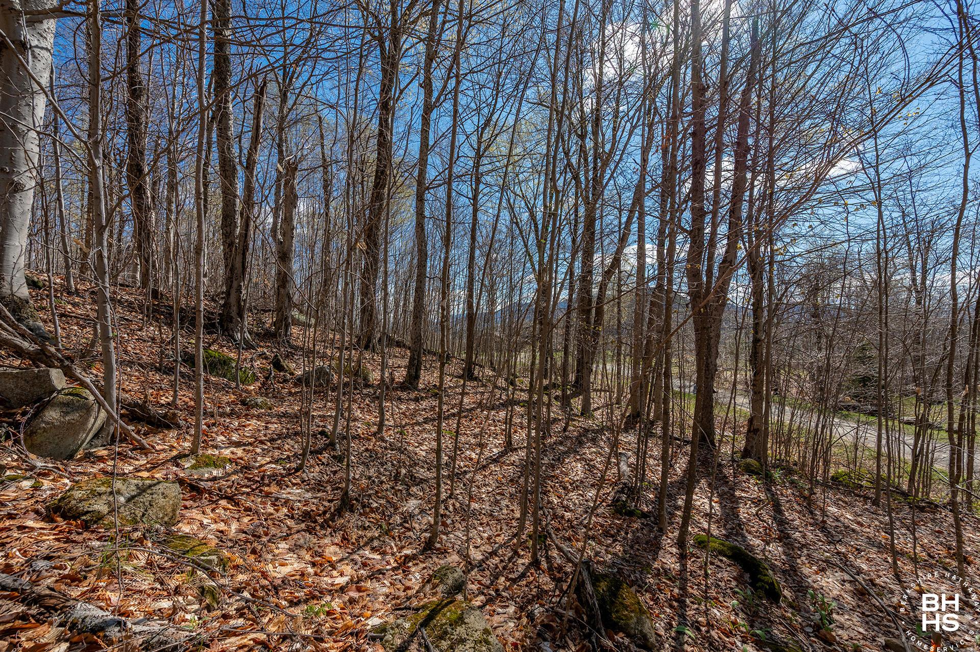 Image 3: Lot19OnPanorama_Spring_Lot_Low