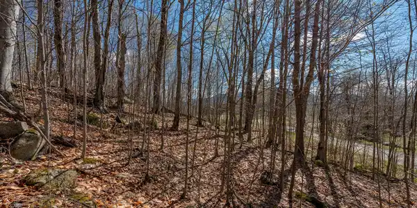 Image 3: Lot19OnPanorama_Spring_Lot_Low