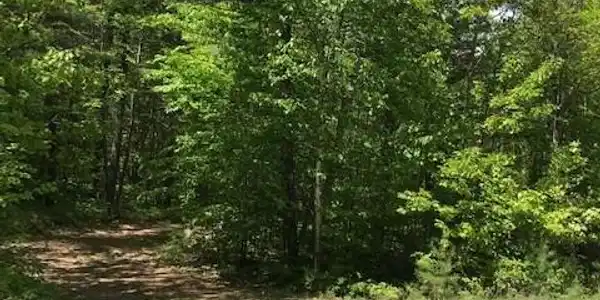 Image 3: Photo 4