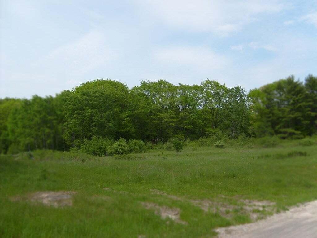 Image 4: Meadow1