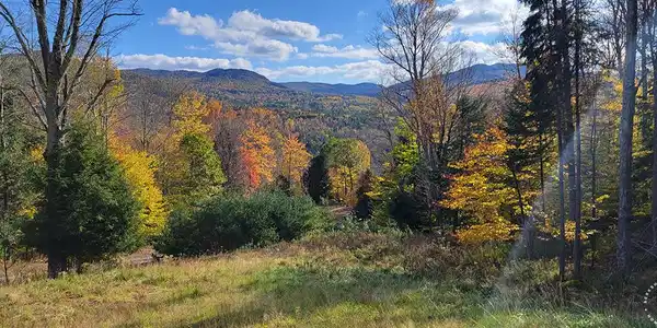 47 Green Meadows