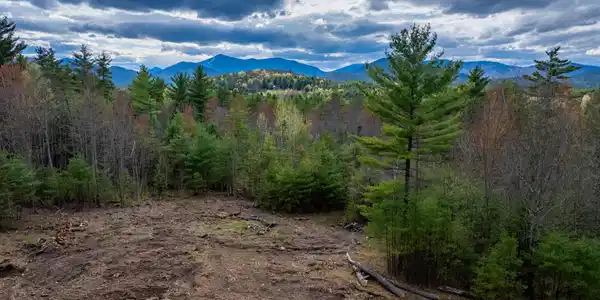 Lot 2 Wildernesscapes Way