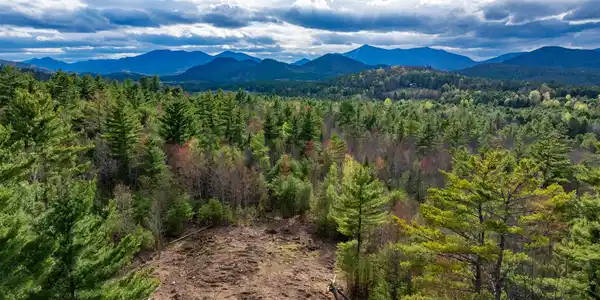 Image 3: DJI_20260421043336_0130_D-Edit_2500px