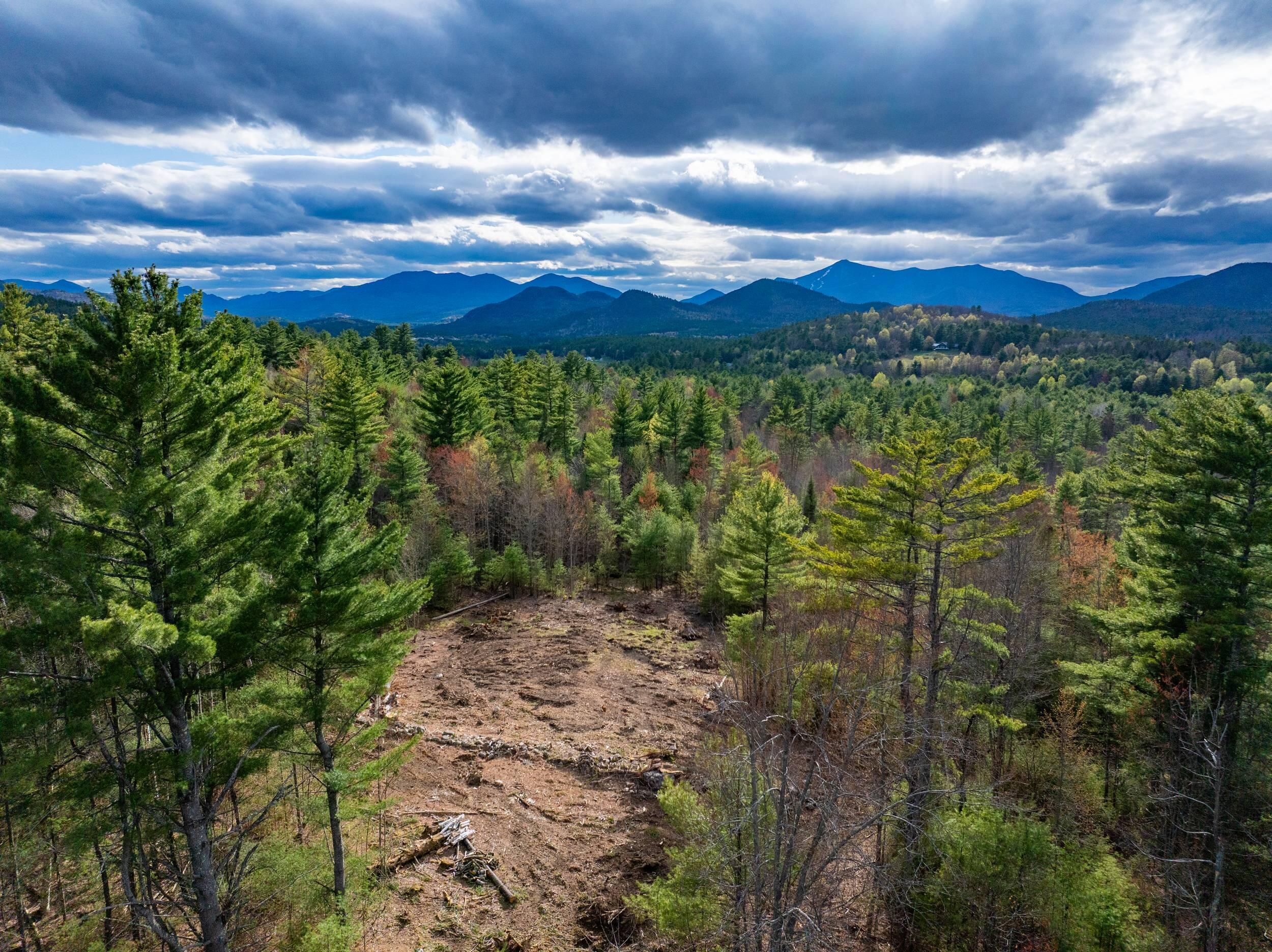 Image 4: DJI_20260421043401_0136_D-Edit_2500px
