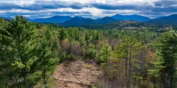 Image 4: DJI_20260421043401_0136_D-Edit_2500px