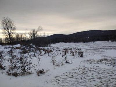 1503 Bradley Pond