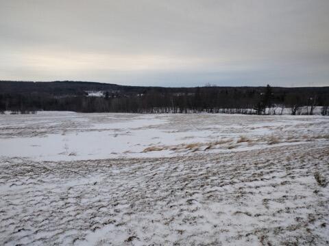 Image 2: Land