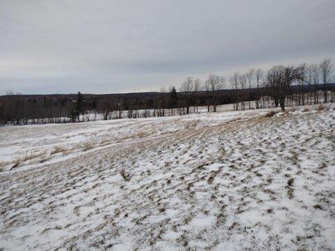 Image 3: Land