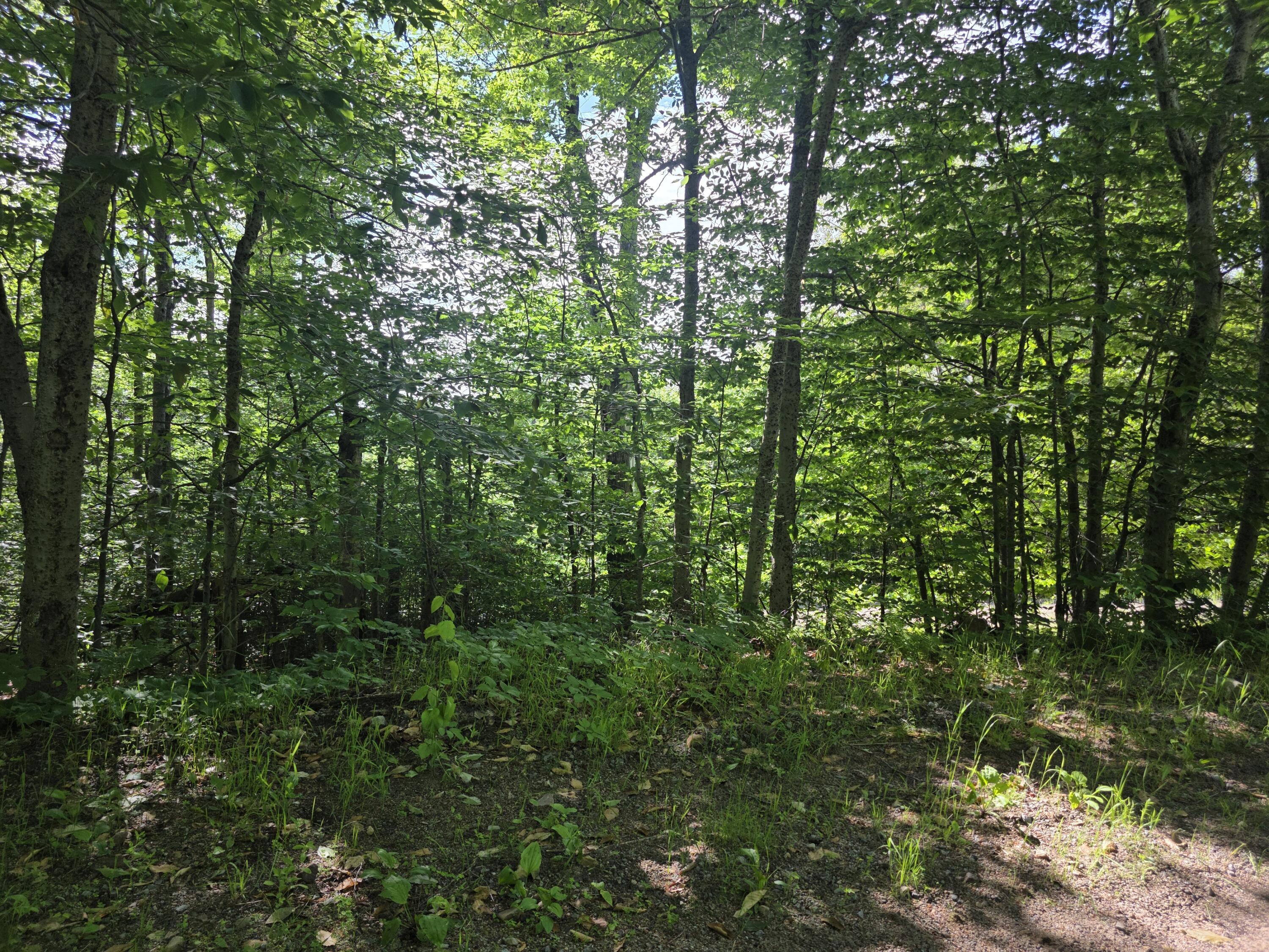 Image 2: 20260623_090057