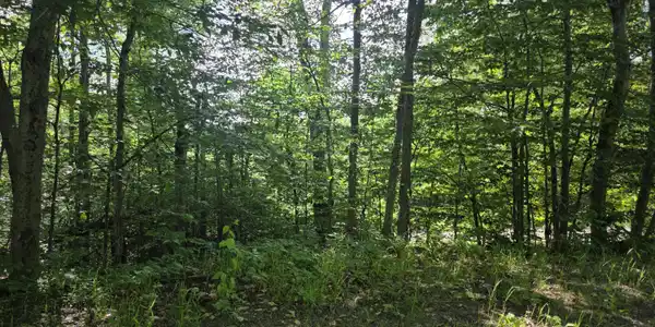 Image 2: 20260623_090057
