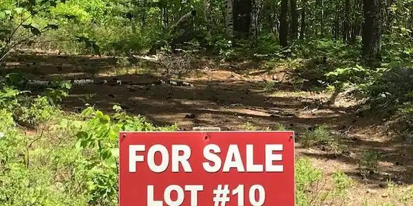 Lot 10 Shirley's