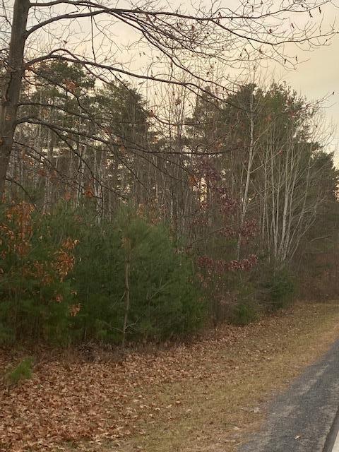 Image 1: Main View