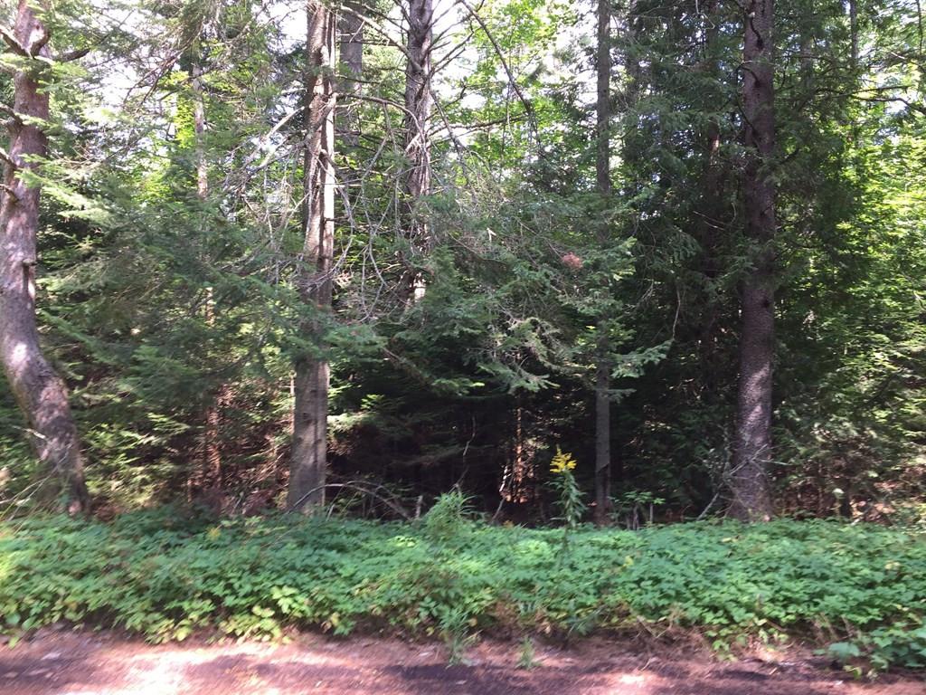 Image 2: Photo 2