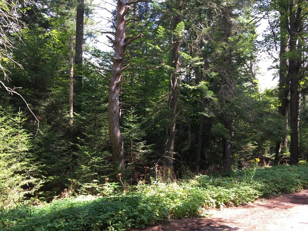 Image 3: Photo 3