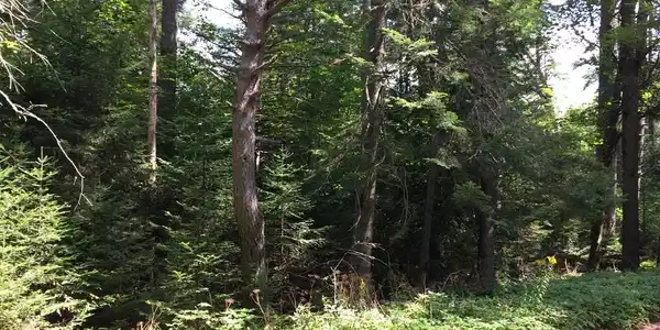 Image 3: Photo 3
