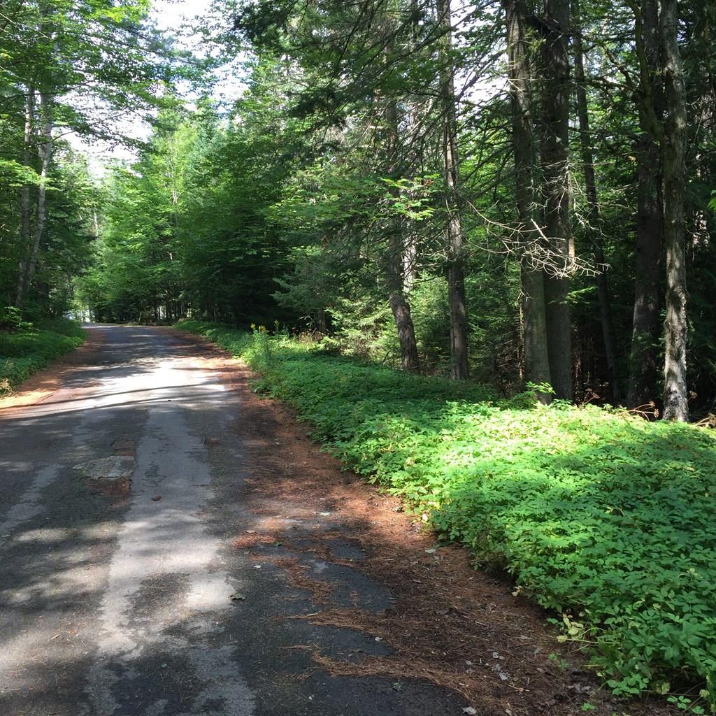 Image 4: Photo 4
