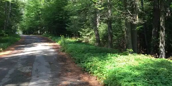 Image 4: Photo 4