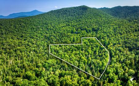 0 Grouse Creek Way LOT 4