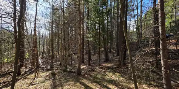 Image 3: 20260420_162503