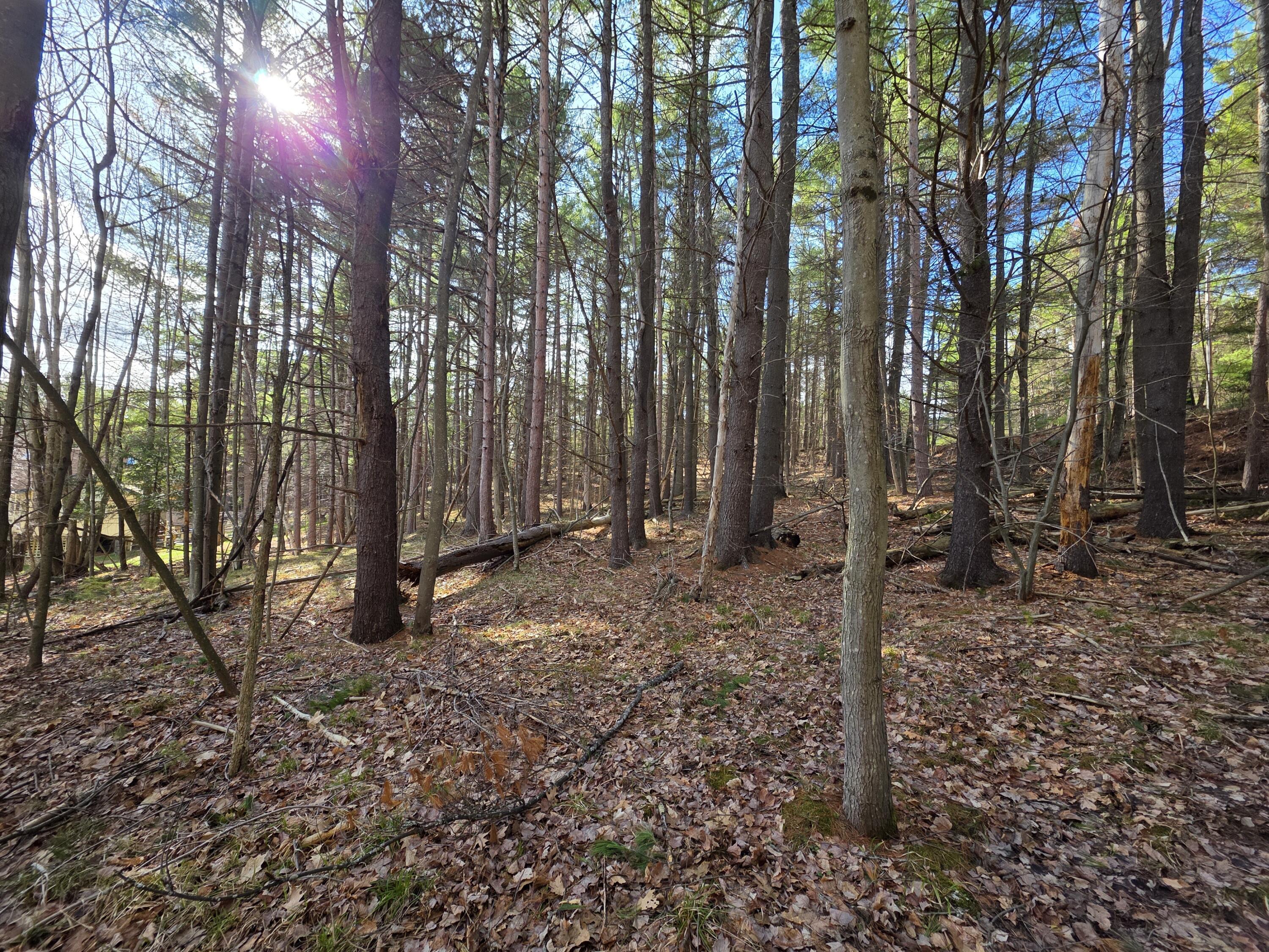 Image 4: 20260420_162557