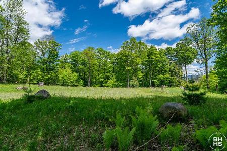 Lot 33 Mt. Pisgah Park