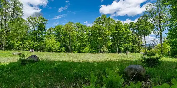 Lot 33 Mt. Pisgah Park
