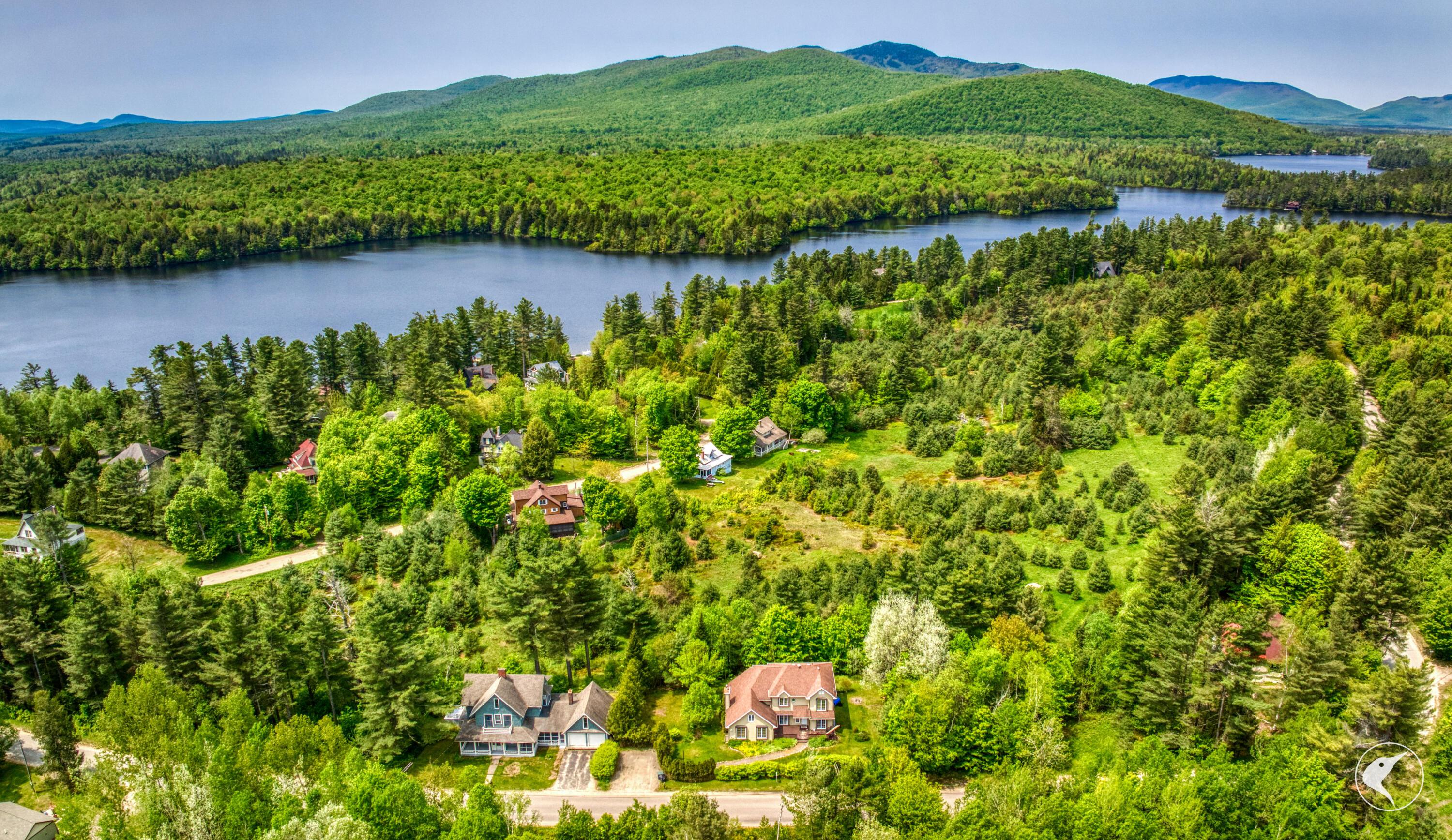 Image 2: DJI_20250603112609_0400_D