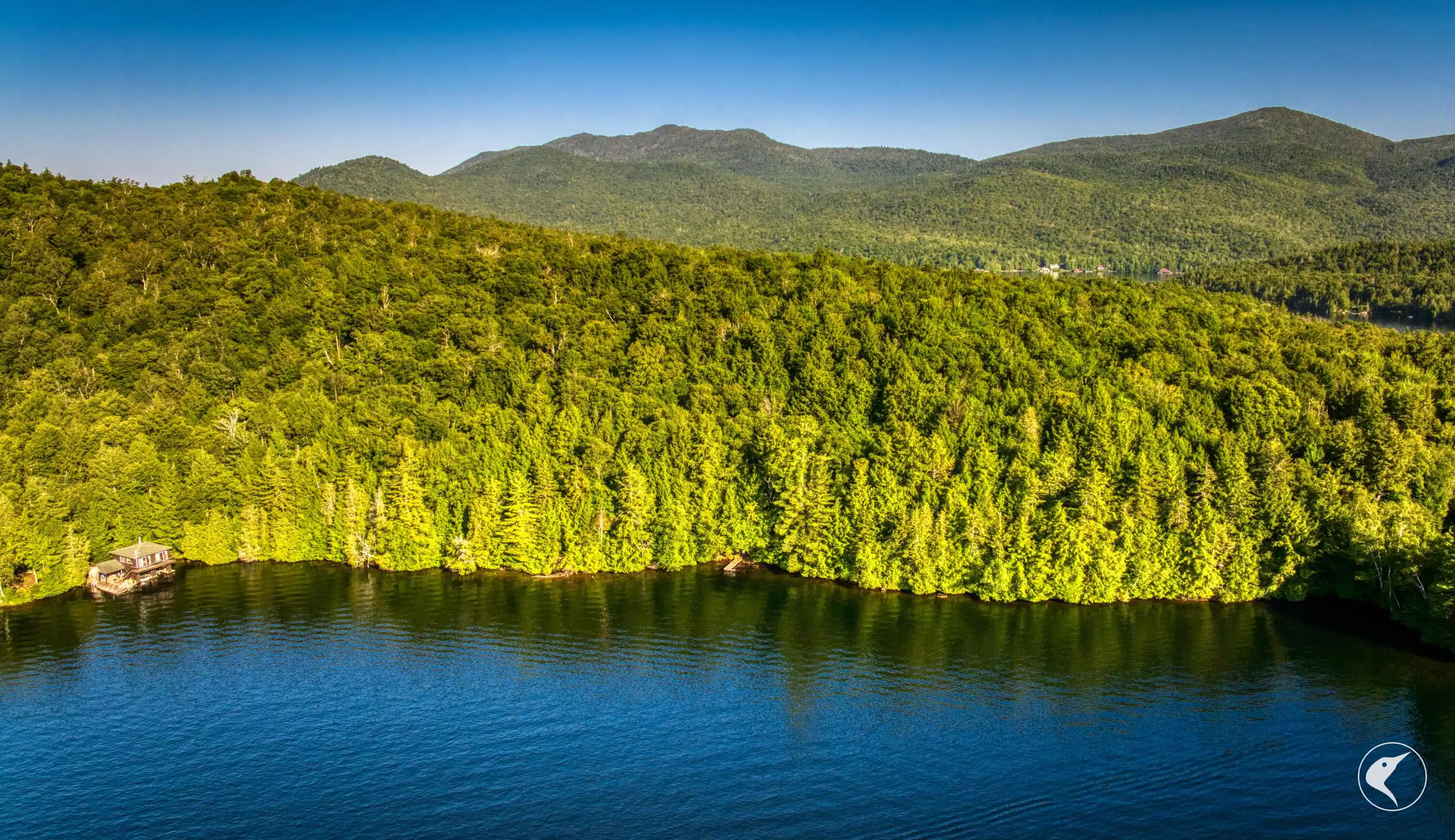 Image 1: DJI_20250811073835_0101_D