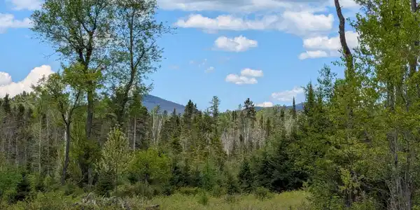 Lot #6 County Route 60