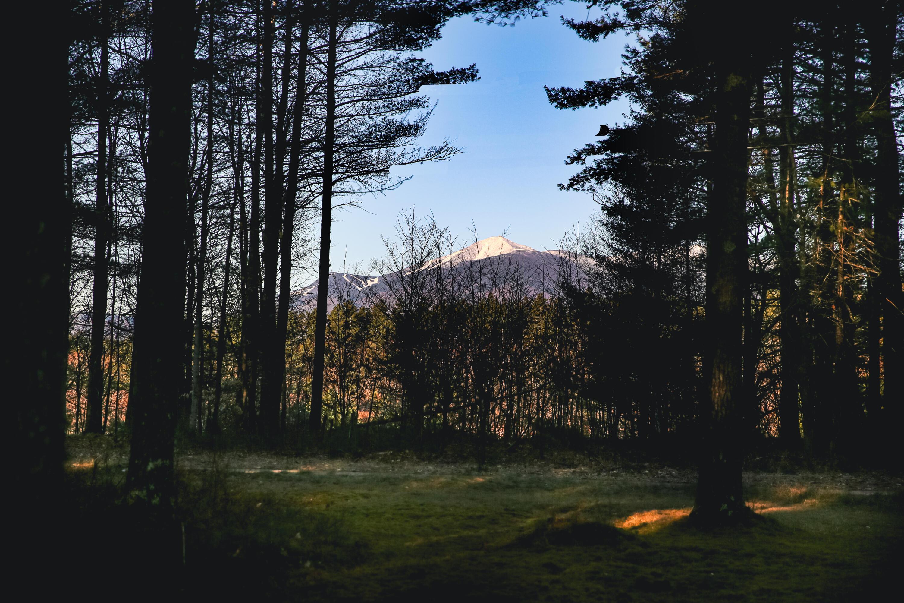 Image 2: untitled shoot-0255