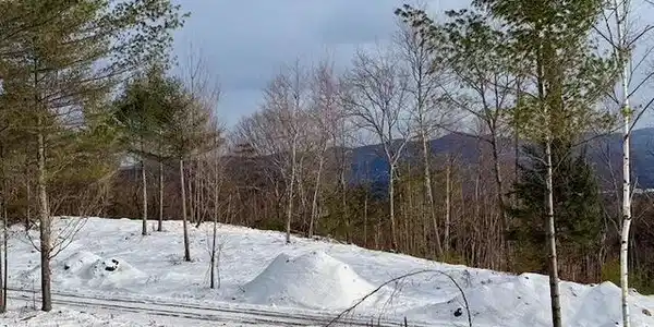 0 NYS Rt. 86 (Lot 5)