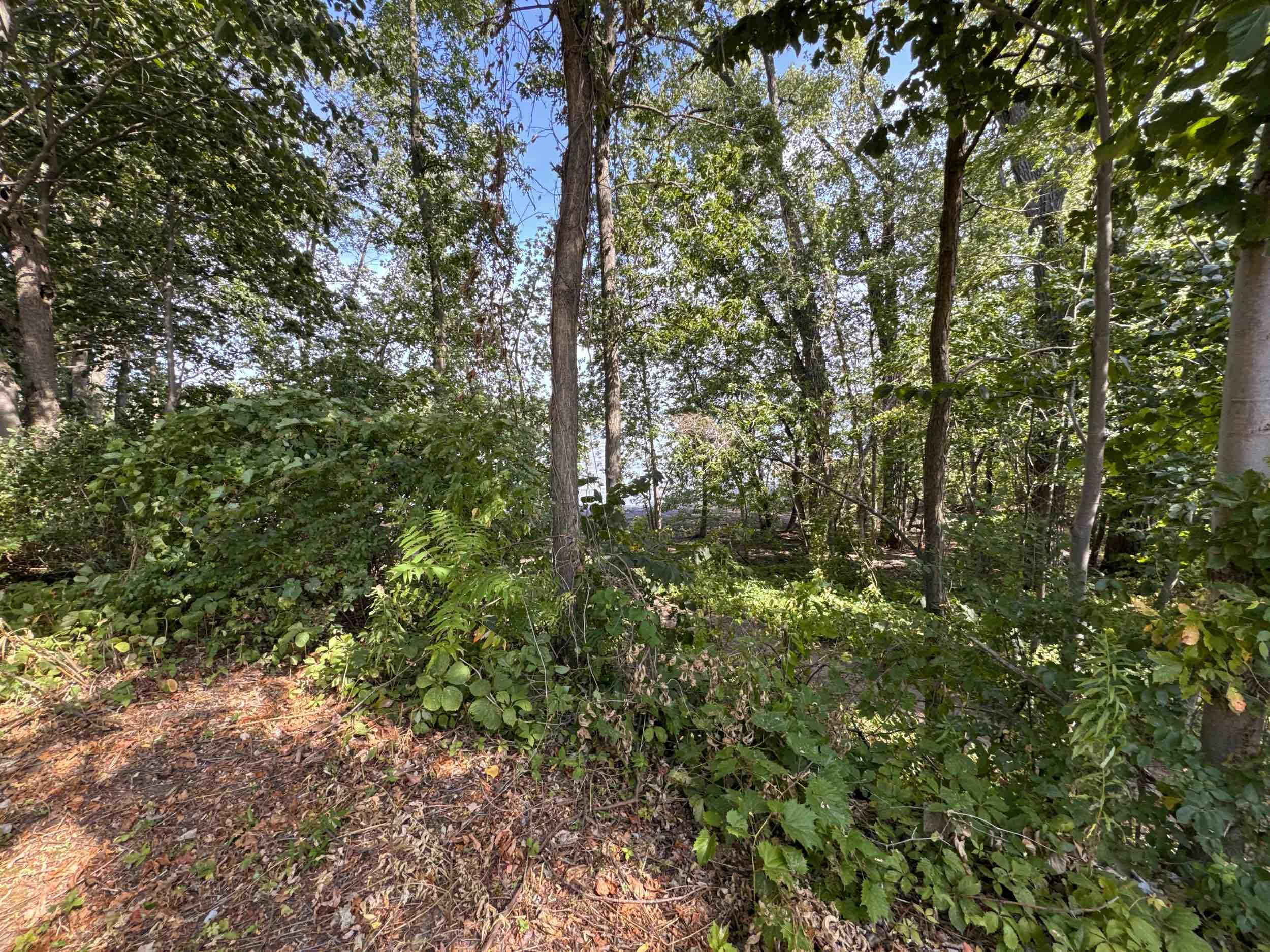 Image 2: Lot