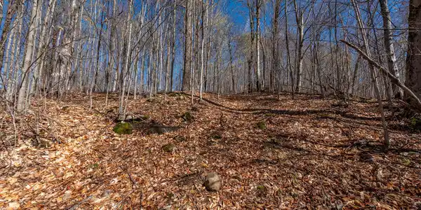 Image 4: Lot19OnPanorama_Spring_Lot