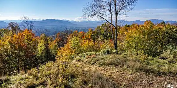 0 Panorama Drive Lot 15/16