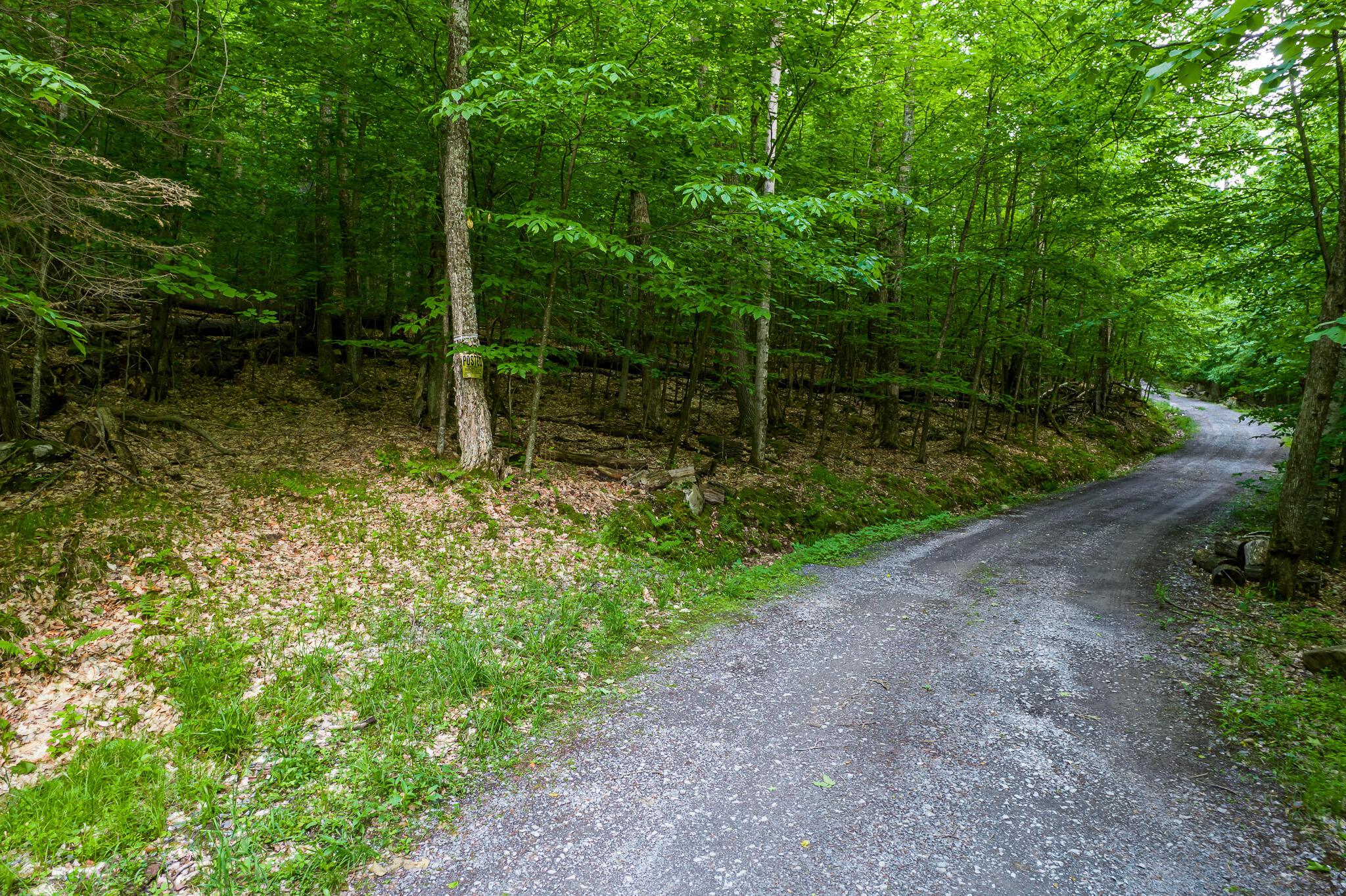 Image 2: DJI_0813