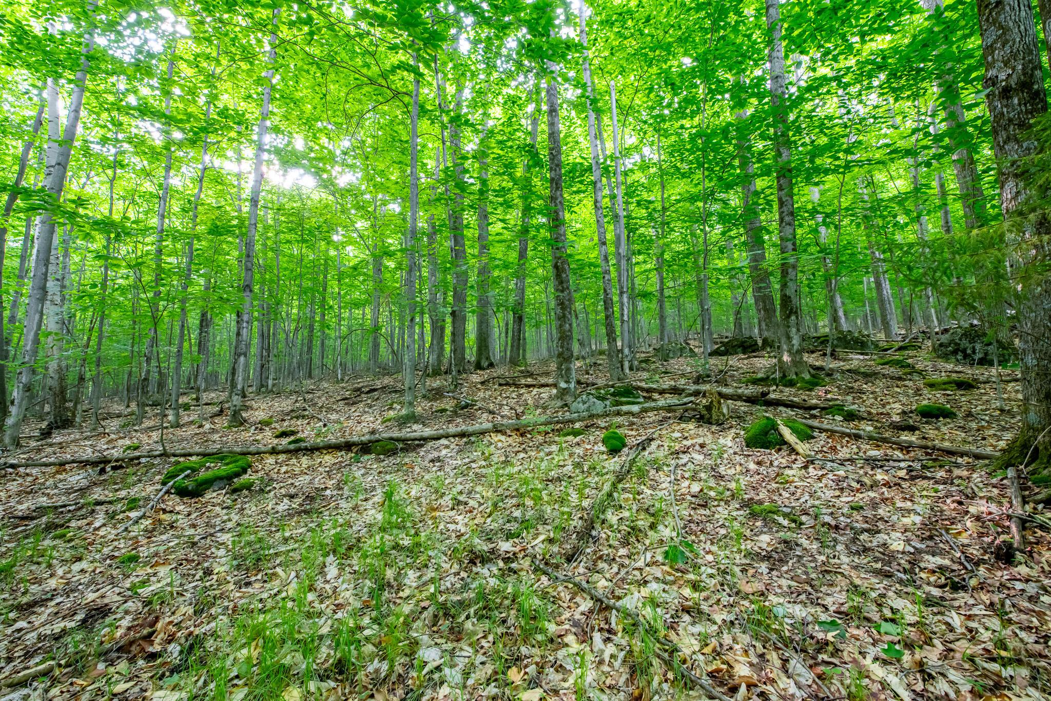 Image 4: DSC_3062-HDR