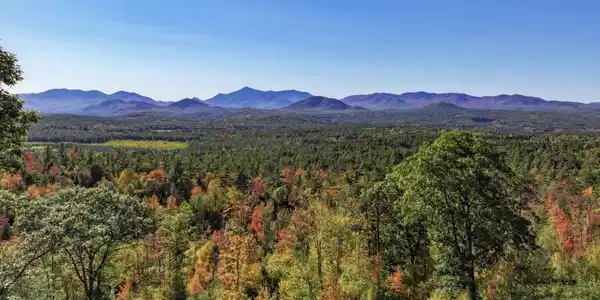 200 Black Mountain
