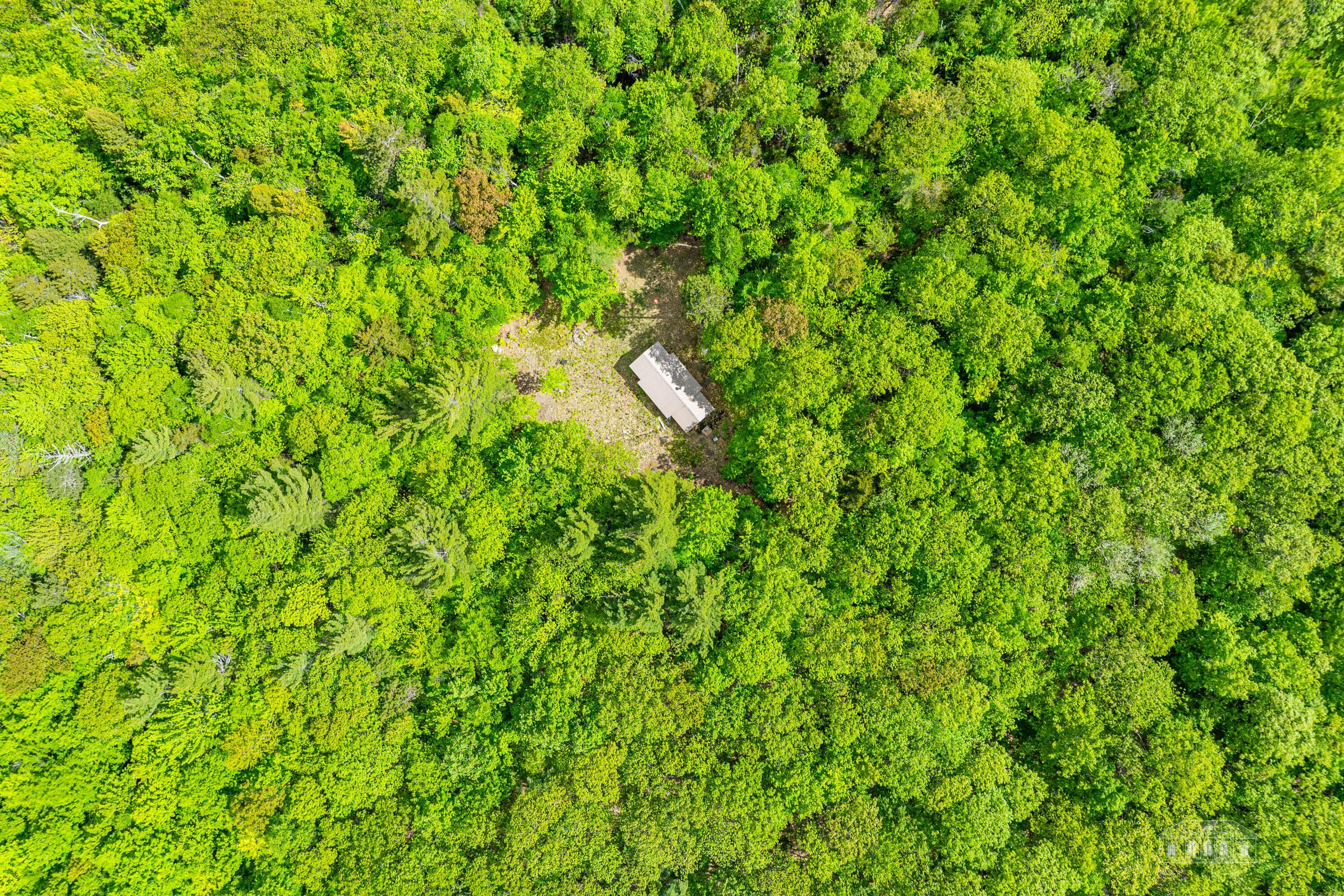 Image 3: 429 Bartlett Keene NY-25