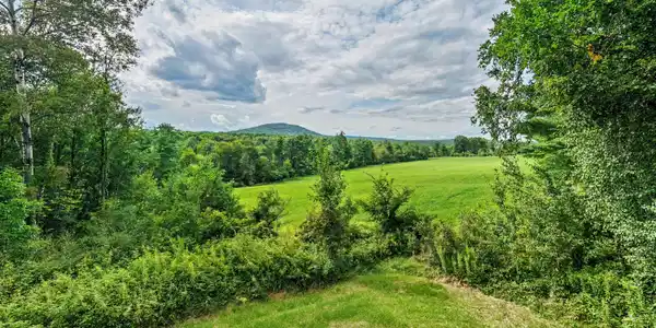 Image 2: DJI_20260814152551_0109_D